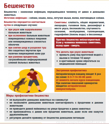 Памятка о предотвращении распространения бешенства